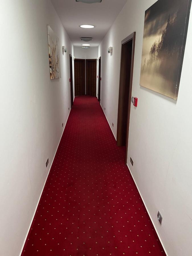 Hotel Krusnohorsky Dvur Cínovec Esterno foto